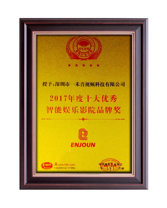 2017年度十大優(yōu)秀智能娛樂(lè)影音品牌獎(jiǎng)