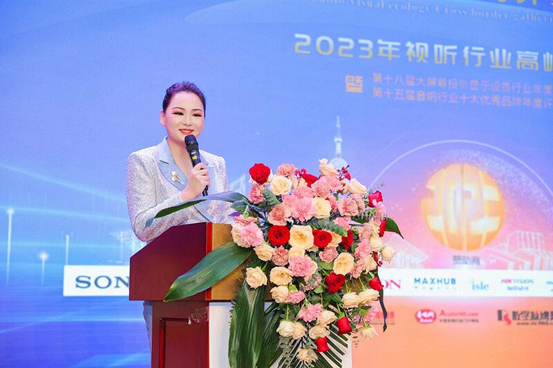 2023視聽行業(yè)高峰論壇